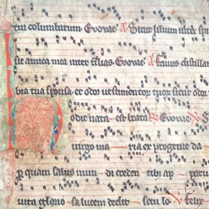 An antiphon is a piece of religious text set to music, usually in the form of a Gregorian chant